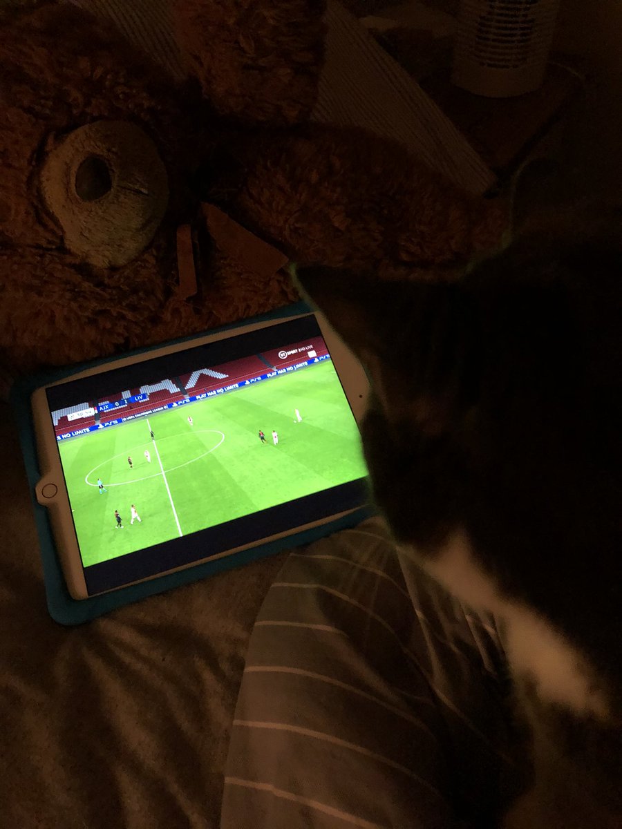 Just watching the match. You!? #lfc #catsoftwitter
