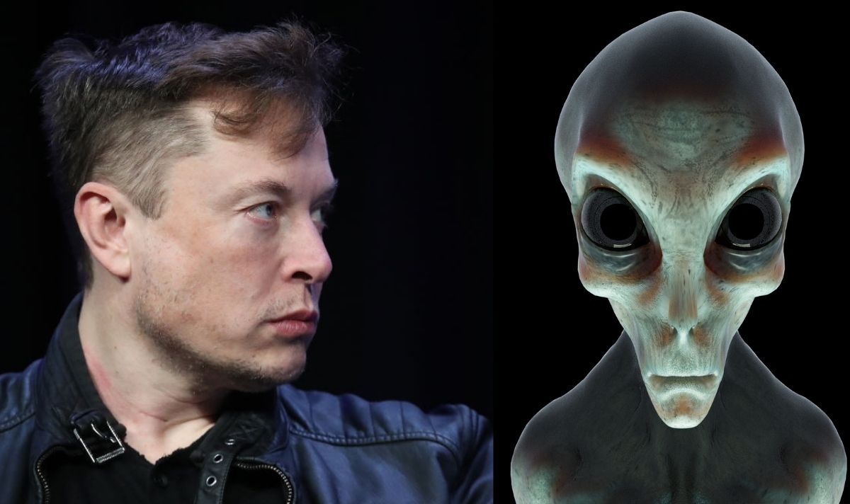 Daily Express on X: "Elon Musk: SpaceX chief reveals best place to look for aliens in solar system https://t.co/2sve8uU6xY https://t.co/IdxjubS8pg" / X