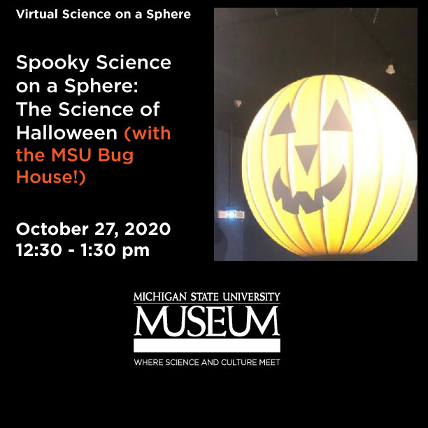 MSUMuseum's tweet image. Join us for "Spooky Science on a Sphere: The Science of Halloween (with the MSU Bug House!)" on Tuesday, October 27 from 12:30 - 1:30 p.m. 🎃 🕷Register Here 👉 bit.ly/spooky_science