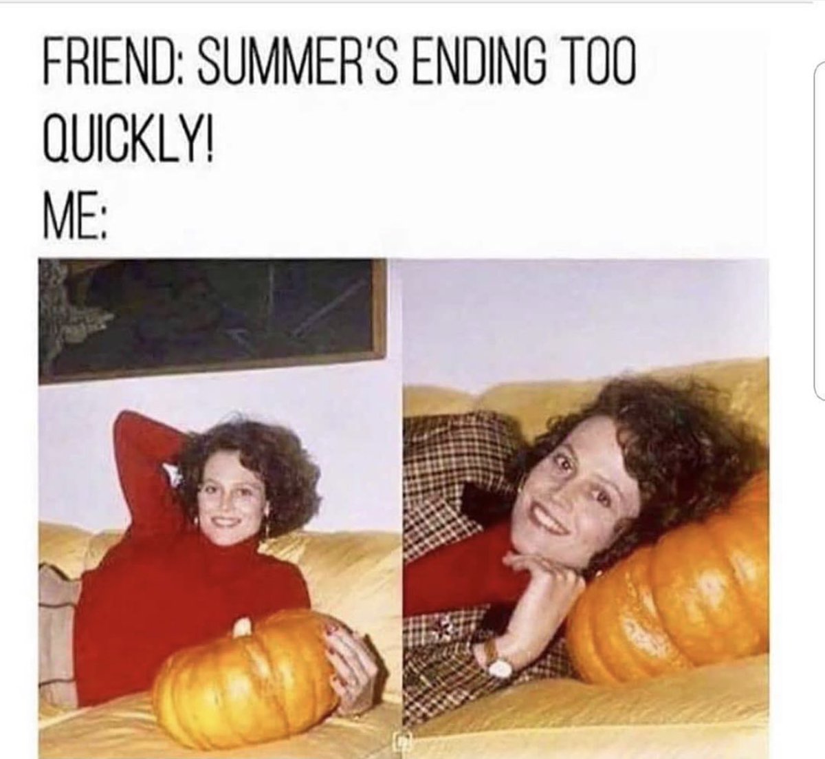 theanticritic's tweet photo. Channeling my inner Sigourney Weaver with Pumpkin pose... #FridayThe13thCollection #fridaythe13th #ScreamFactory #JasonVoorhees #CampCrystalLake #CrystalLake #HorrorBlerd #SigourneyWeaver https://t.co/SSwgREhHXK