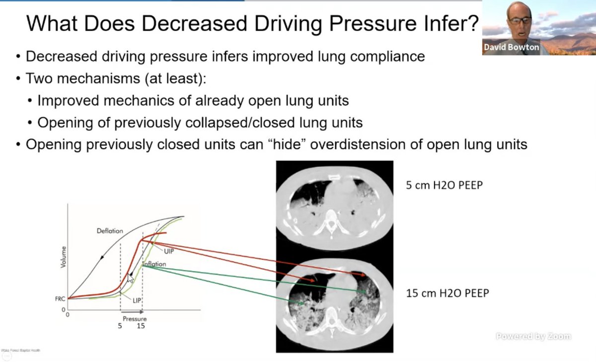 . @DavidBowton: opening up new lung units can hide overdistention of open lung units. However, per studies quoted by Dr. Gallo, DP IS good. But what's the "right" DP?Dr. Bowton shares that there are no good prospective trials to find the "cutoffs" for benefit.  #CHEST2020