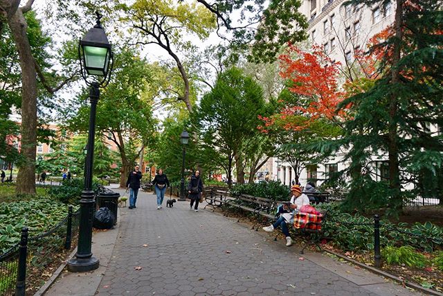TIMPWOOD's tweet photo. https://t.co/E9zXHGLY09 - @ signsofthetides #changingleaves #washingtonsquarepark #nyc https://t.co/whheab9s3F