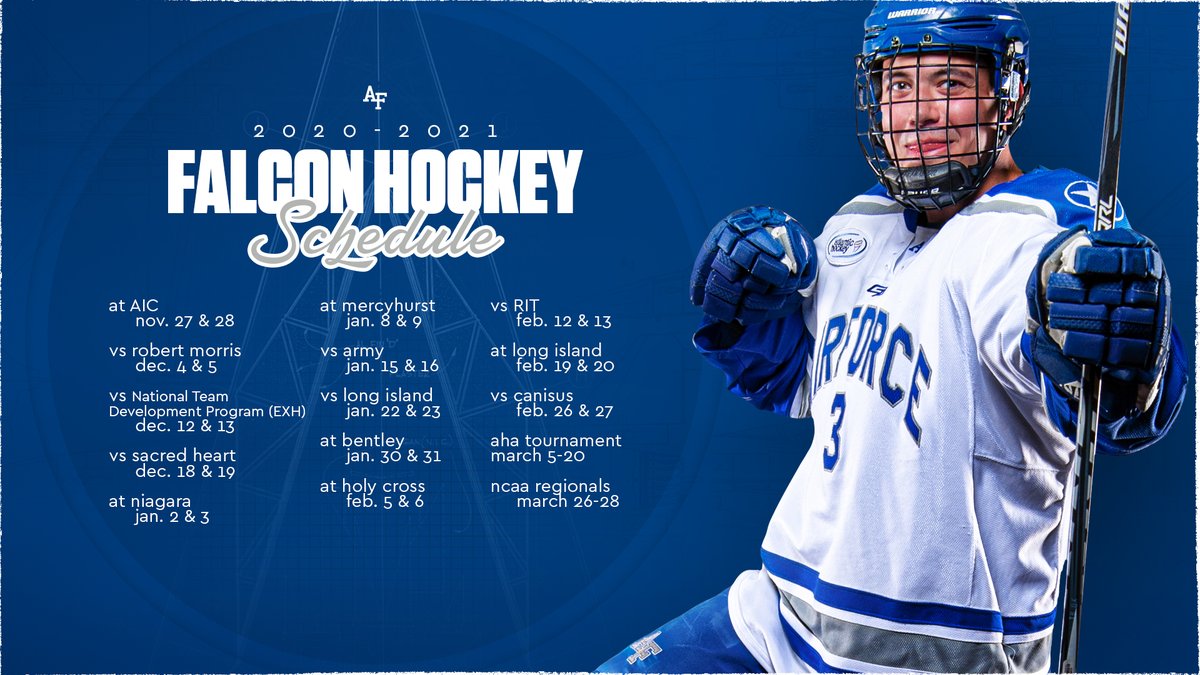 Air Force Hockey tweet media