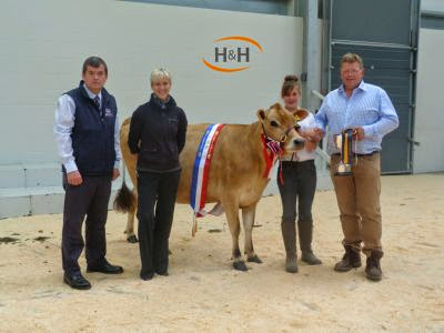 August 2014 show and sale for jerseys got champion animal