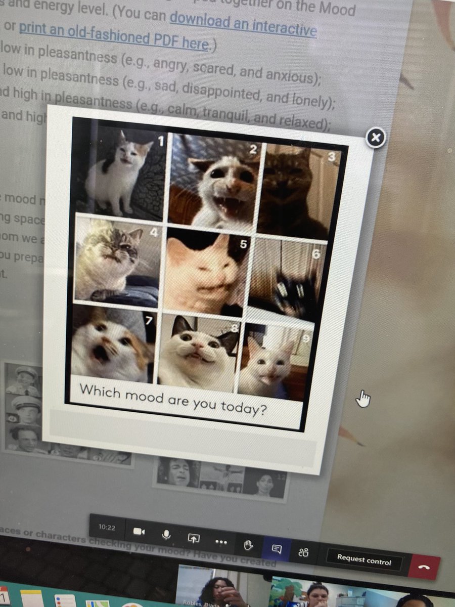 latraylnichole's tweet image. I love my SEL team at @Aldermanbears !!!! Thank you for standing up against bullying!!! #beabuddynotabully #gcsunite #gcsunity #bullyprevention @GCSchoolsNC @MrslopezDavila @CaseyLloyd8