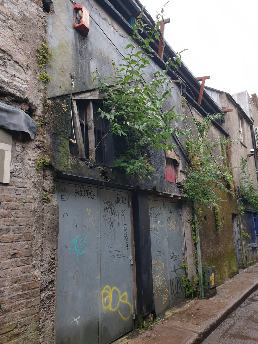 this is a really weird one, picture a historic lane right in the centre of Cork citywith this building in it crumbling for at least 6 years ( @googlemaps RHS, 2014)one positive, it looks like a much needed tree is growing out of it No. 134  #respect  #regeneration  #economy