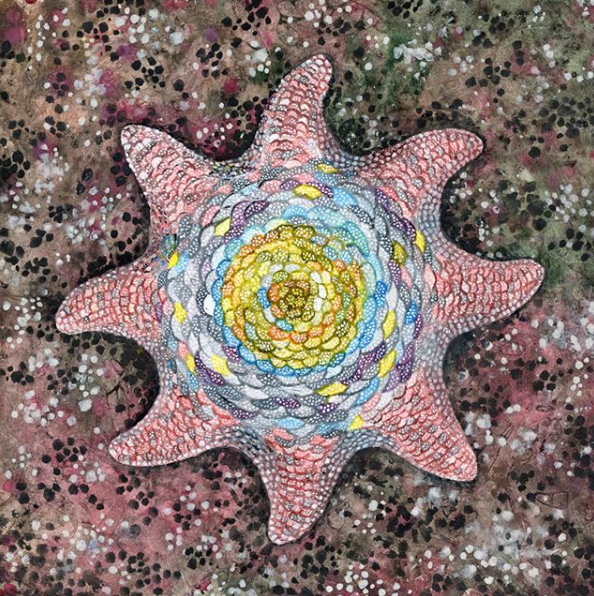 NikiHubbard's tweet image. This is a PAINTING! 😍 Absolutely stunning Meridiastra sea star #art by EmmaBayfield_Art on Insta:

instagram.com/p/CGmlstUn0fG/