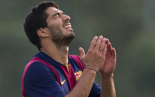 MisterChip (Alexis) tweet media