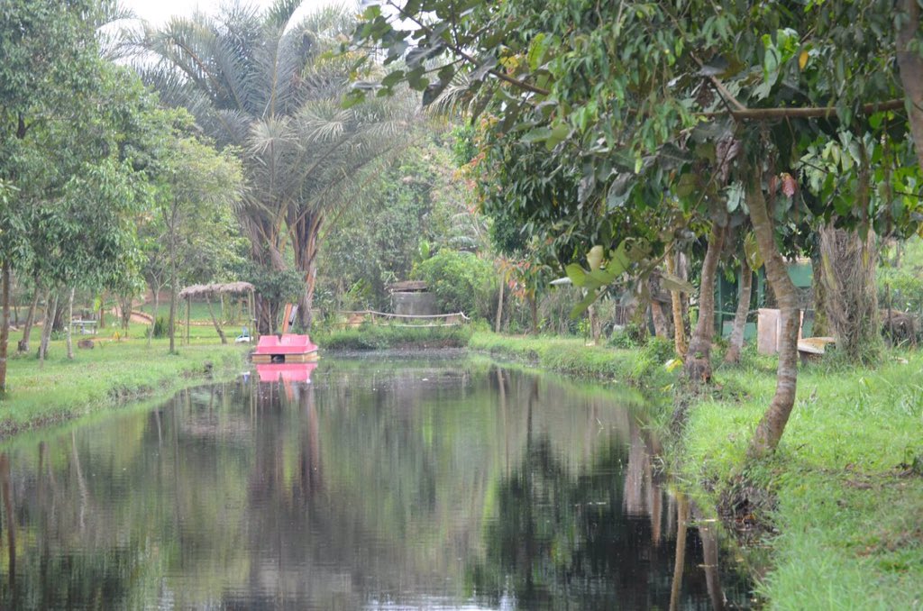 ReptilesUganda's tweet photo. Do you love the scenery?? Well this is Uganda Reptile Village in Entebbe. We have over 50 Species of Reptiles 🦎 Visit us any day of the week,we are open from 8am to 6pm .

#VisitUganda
#UgandaReptileVilage https://t.co/uPhhw3163v