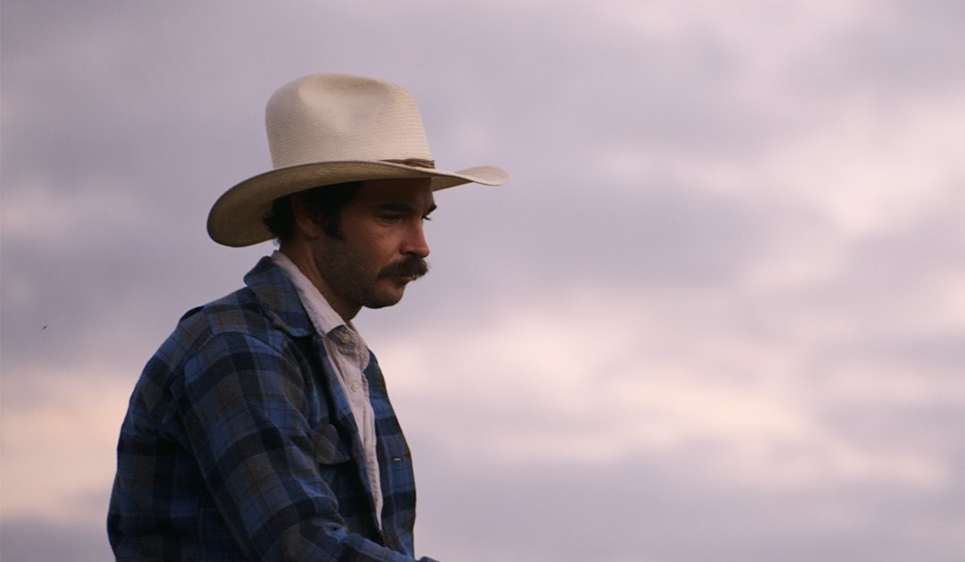 Short of the Week tweet media