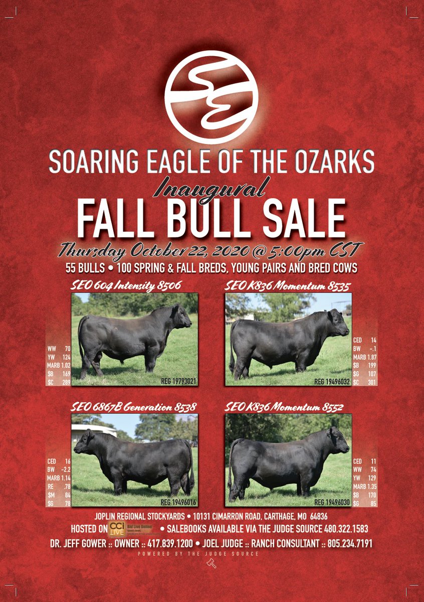topdollarangus's tweet photo. We are excited to announce the newest Seedstock Partner, Soaring Eagle of the Ozarks, to the Top Dollar team!
#topdollarangus #topdollaradvantage #geneticsmatter #verifiedgenetics https://t.co/hI0SUKO4YF
