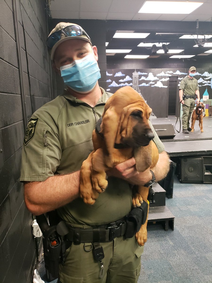 Have you seen our newest K-9 puppy? K-9 Nez