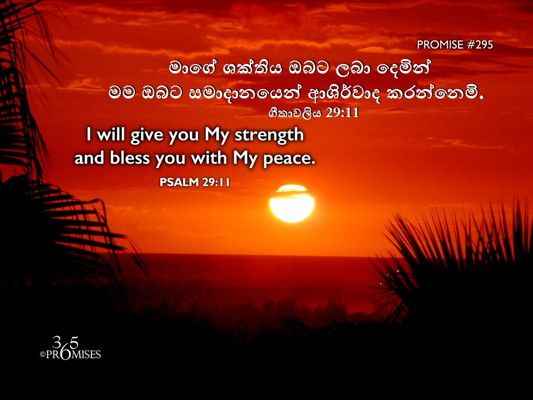 MAARFernando's tweet photo. I will give you My strength and bless you with My peace. (Read : Psalm 29:11)
මාගේ ශක්තිය ඔබට ලබා දෙමින් මම ඔබට සමාදානයෙන් ආශිර්වාද කරන්නෙමි. (කියවන්න: ගීතාවලිය 29:11). https://t.co/zeZAfaCIX0