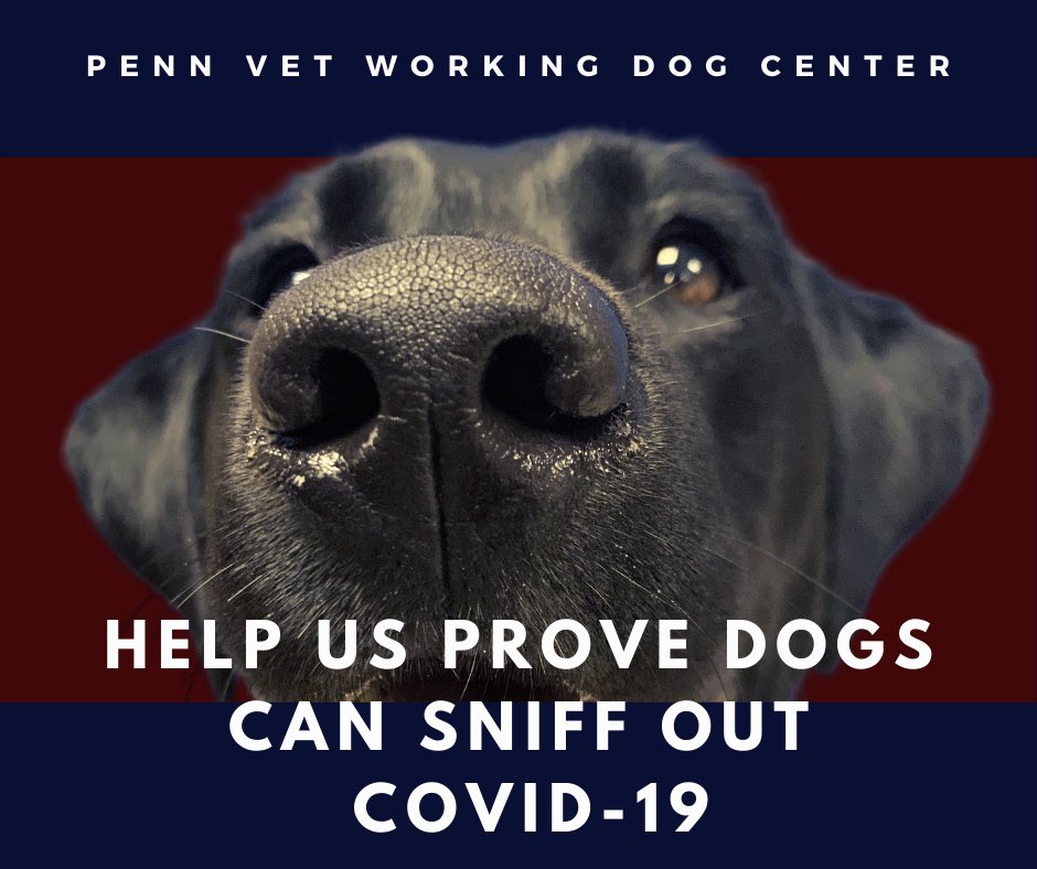 Dr. Amritha Mallikarjun tweet media