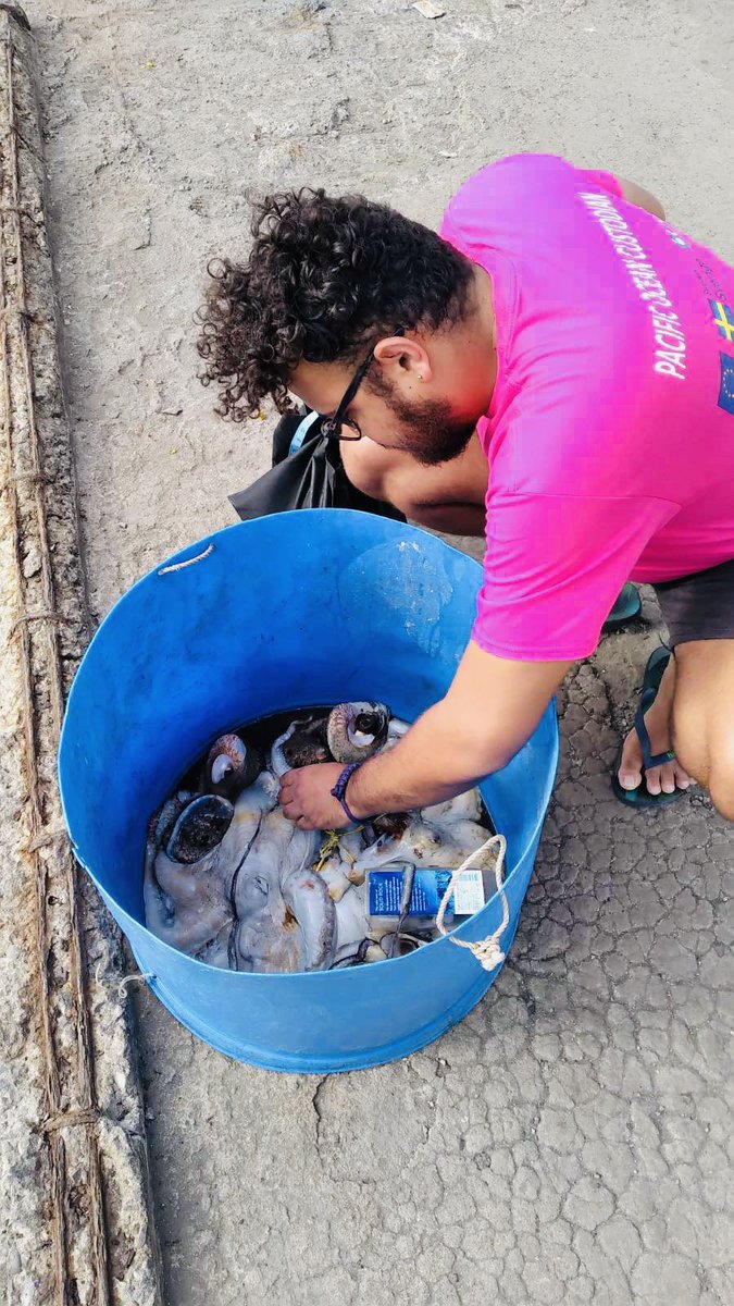 uspimr's tweet photo. The dependence on the #pacificocean for food, employment , trade and recreational activities rises by the day . The @uspimr #PEUMP team is doing their bit to research on a sustainable seafood system. @EUPasifika @SwedeninTH https://t.co/7iWZ4Rd6Dd