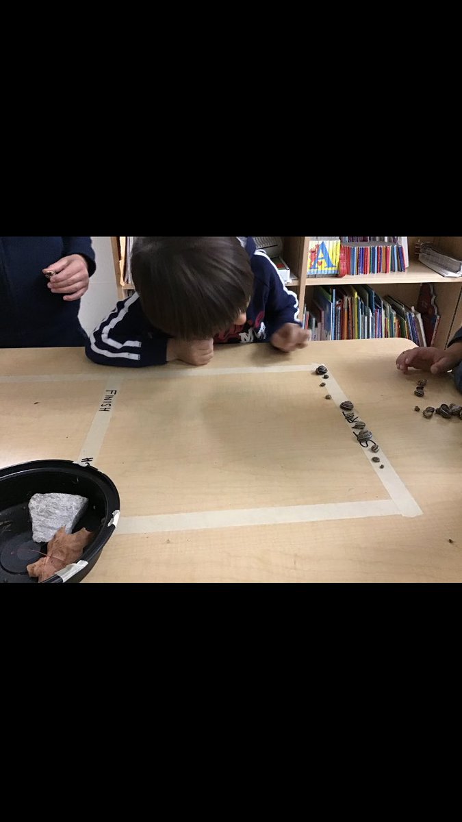 Kinder Room 208 tweet media