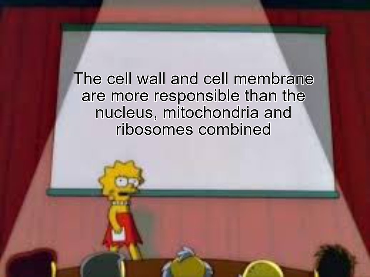 CellWal39346520's tweet photo. Time to prove what we're made of! Cell membrane has my full support for tomorrow's election! #yougocellmembrane #letsgetthisbread #cellwallprotectall #dontbeinsanevoteforcellmembrane @APBioBoss https://t.co/ktjGLDAQRE