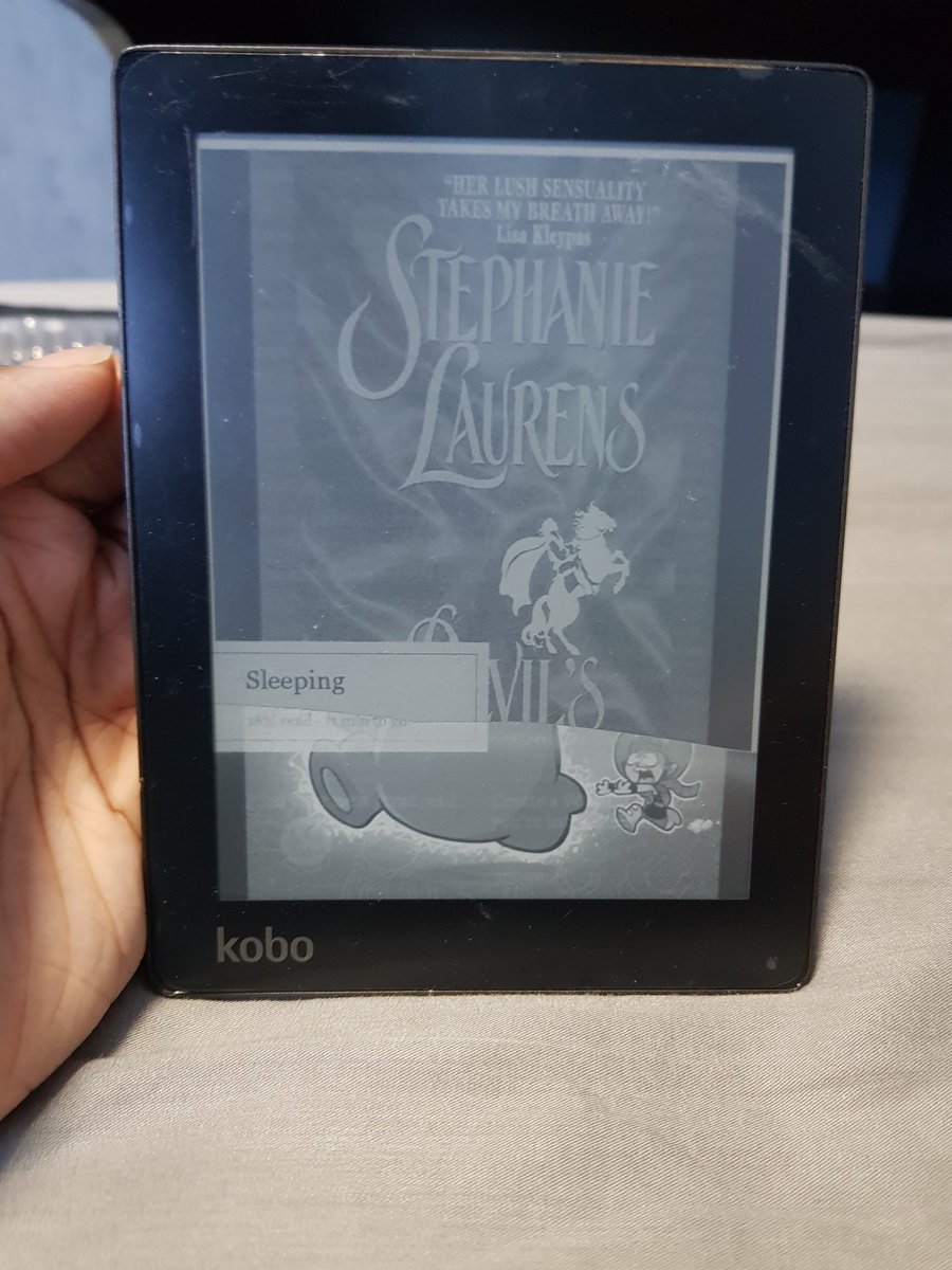 I could tell that the last book they read before the display cracked was "Devil's Bride" by Stephanie Laurens. In comparison, the only purchased book I had on my Kobo account at the time was "The Secret Book" by Jamie Smart. This made for a combination that I found interesting.