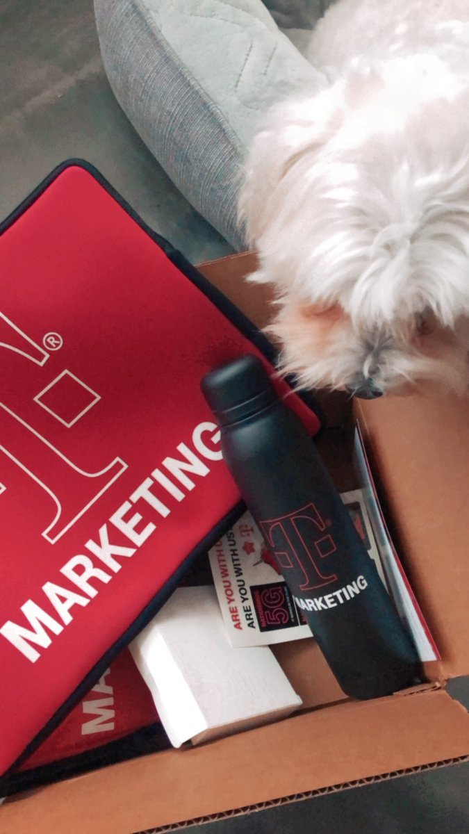 Gladys | Marketing Girl tweet media