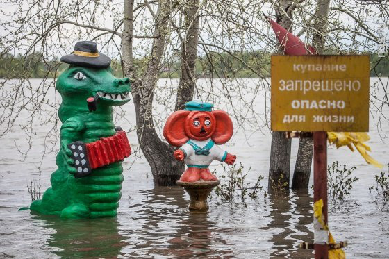 vovan0145's tweet image. 