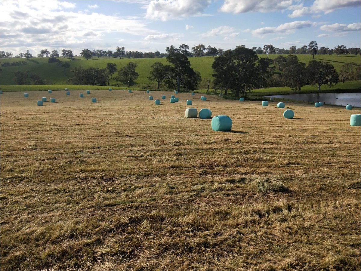 David Cornish tweet media