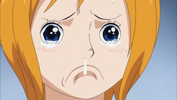 嘲笑のひよこ すすきさん がハッシュタグ 10月25日はコアラの誕生日 をつけたツイート一覧 1 Whotwi グラフィカルtwitter分析