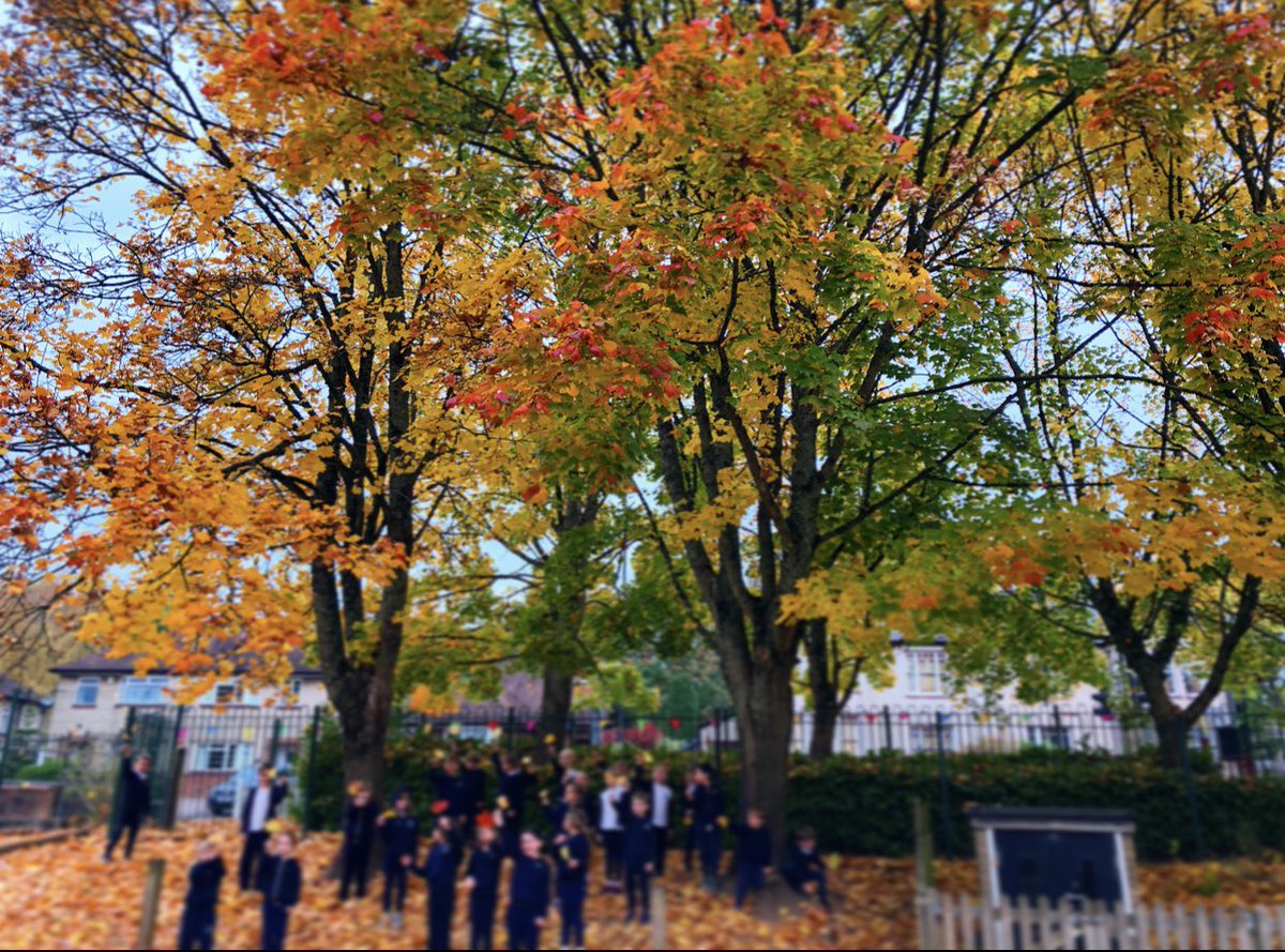 missunderdown's tweet photo. Although all seems strange in the world, autumn never fails to make me happy! On Monday we had harvest festival. We did leaf rubbings, harvest drawings and finger painting. 🥕 #harvestfestival https://t.co/NaDqi0xn7C