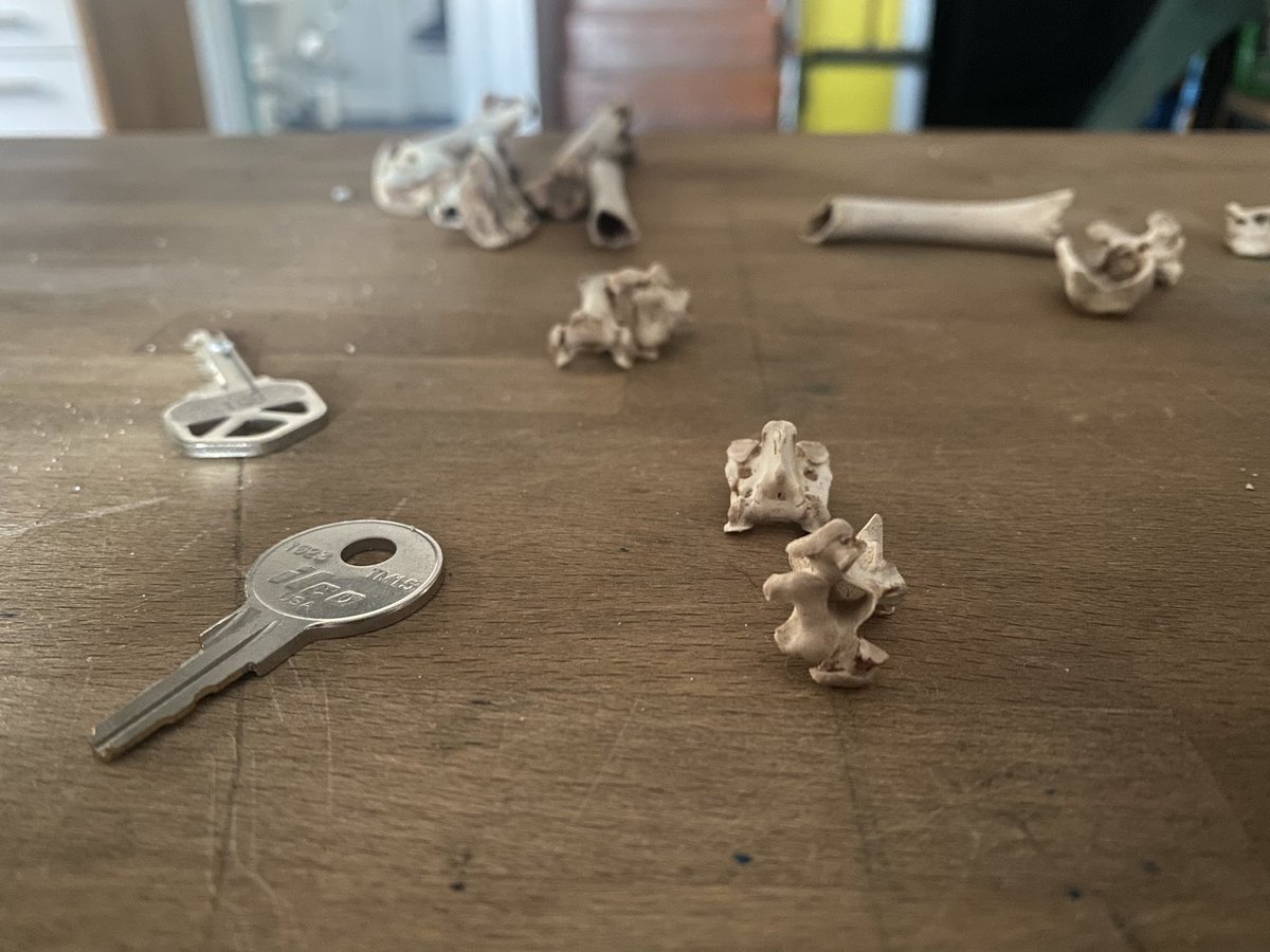 Ghost Express tweet media