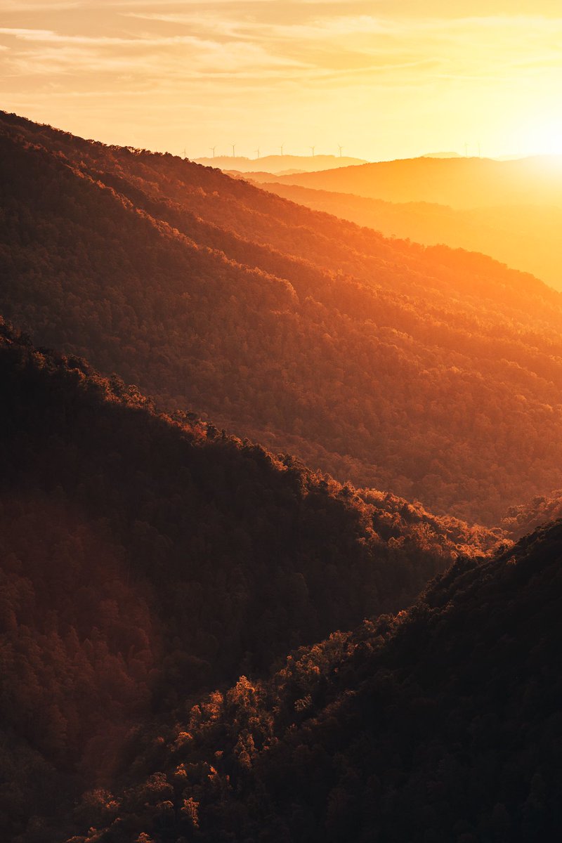 bryanminear's tweet photo. When the light hits *JUST* right. https://t.co/2A04AMySVX