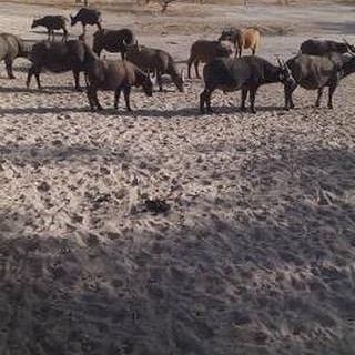 Jesus Light tweet media