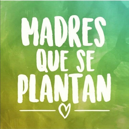 mugaaaa's tweet photo. Que sea ley que sea LEGAL🌱
#AutocultivoYA 
@SenadoSantaFe https://t.co/2MDCCrztOD