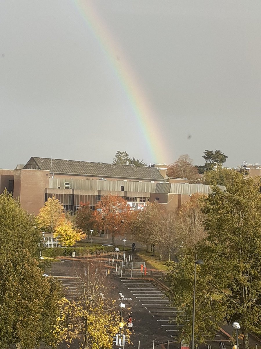 Leaving the office @ul @LeroNews @csisul today, probably won't see it again until 2021 #LockdownIreland .... a sign of hope #staysafe #stayhomechallenge