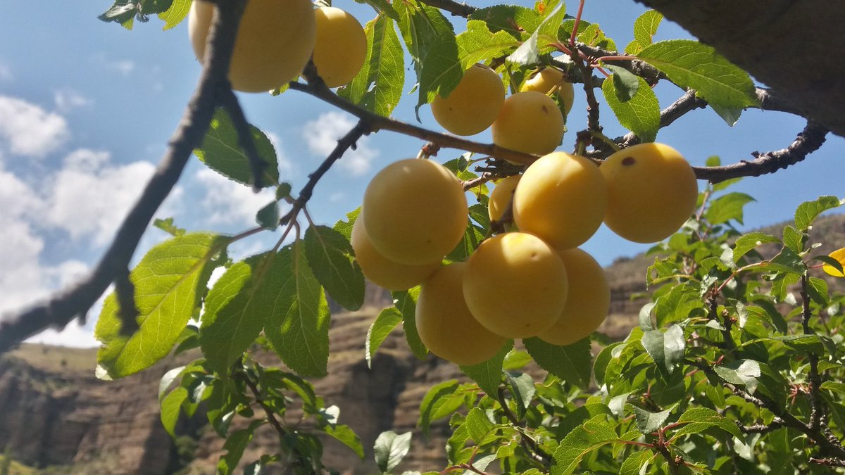 Geceye bir Erzurum resmi bırakalım...
#Erzurum #Şenkaya