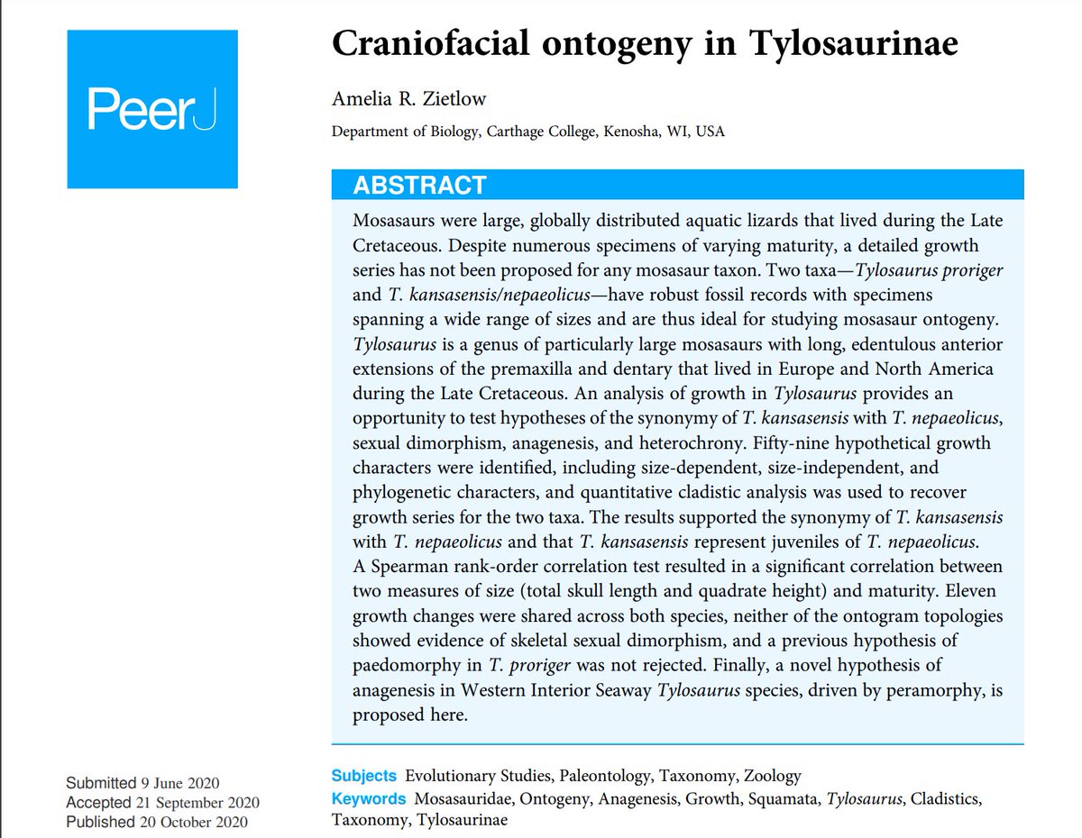 Alrighty, as promised: a thread summarizing my inaugural paper, 'Craniofacial ontogeny in Tylosaurinae'!  https://peerj.com/articles/10145/ 1/21