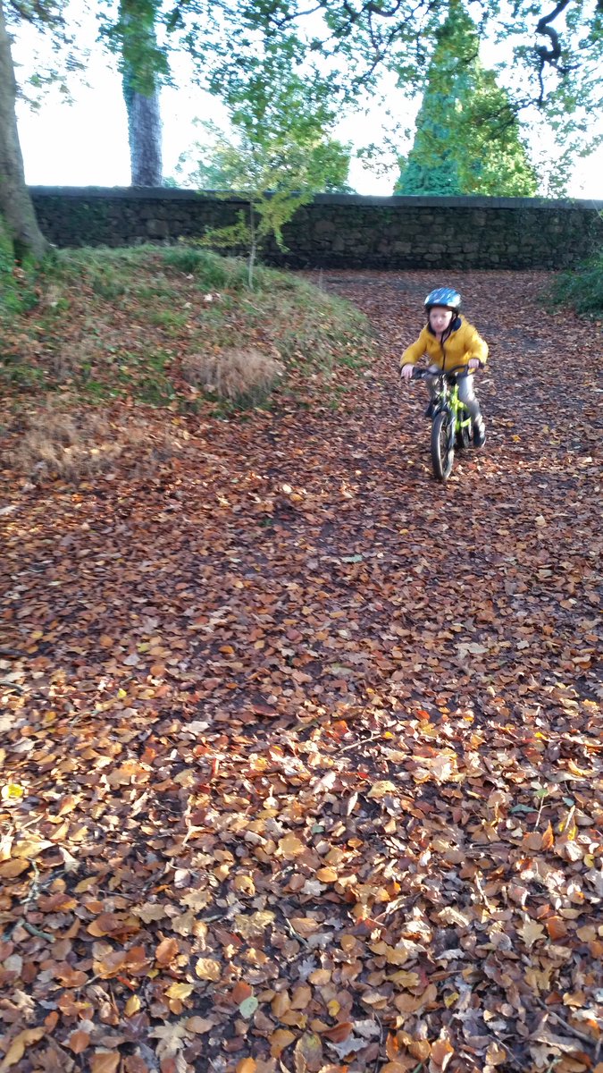 Every child should own a bike......
#freebikes4kids #giving #community
#cycling #recycle https://t.co/Lab8jVVuVb