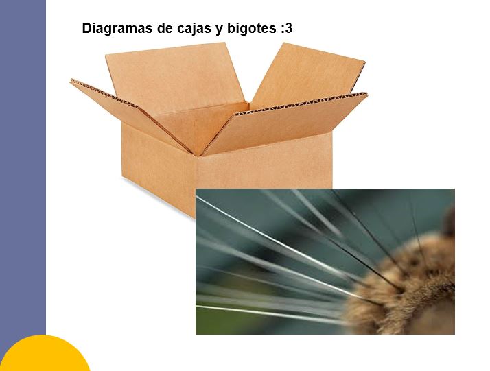 DataHorseman's tweet image. Hola. Mañana en clase damos la parte de toda la asignatura que más me gusta. Tengo 5 años.
📦🐱 #Boxplot
