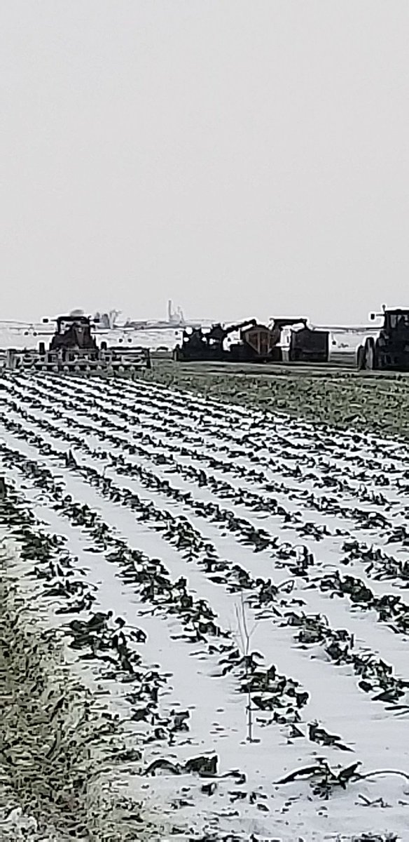 Working on the last couple of passes. We've been waiting for this feeling for 2 years