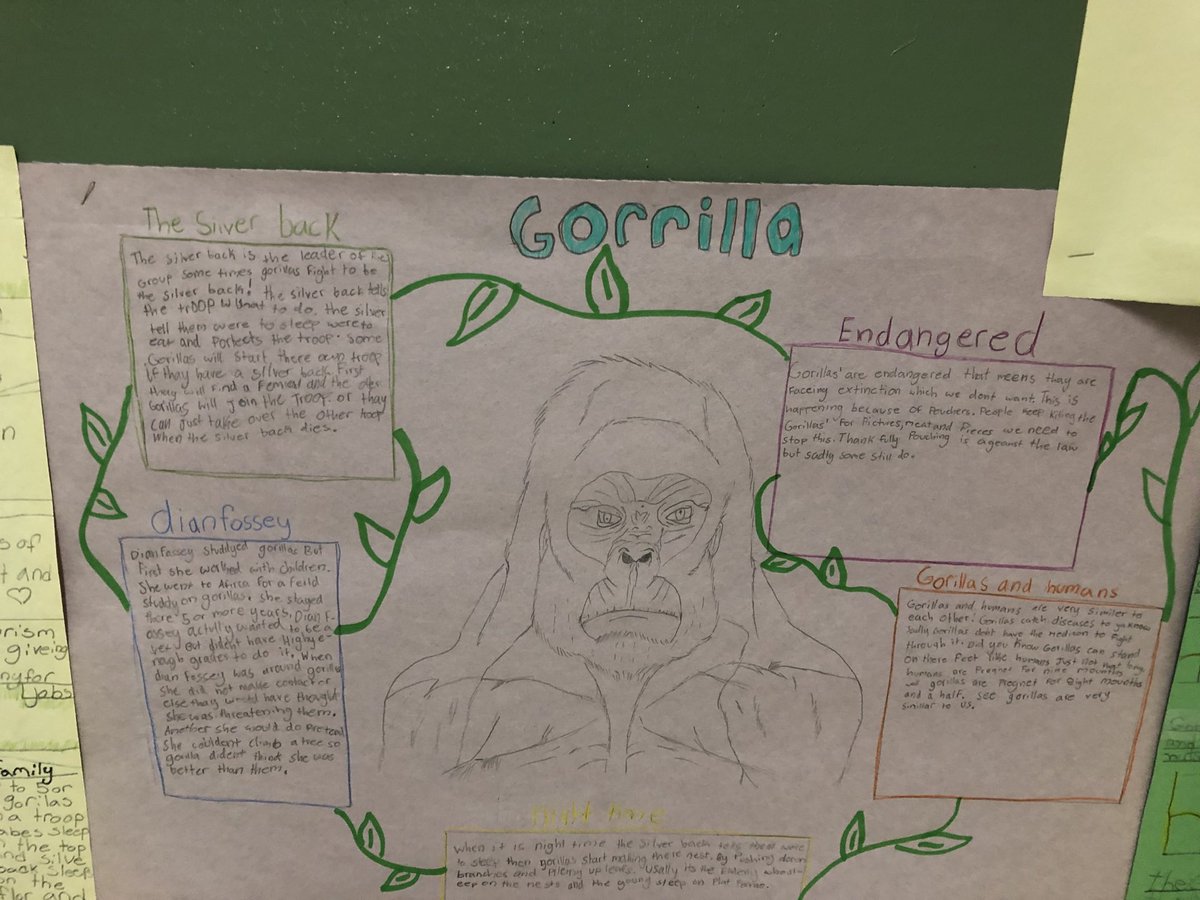 EColdbeck's tweet photo. #SuperCappy students learning about the interdependency of  humans and animals, demonstrating empathy and understanding about ecosystems and our need to coexist with nature. https://t.co/nqWI1f2pk2