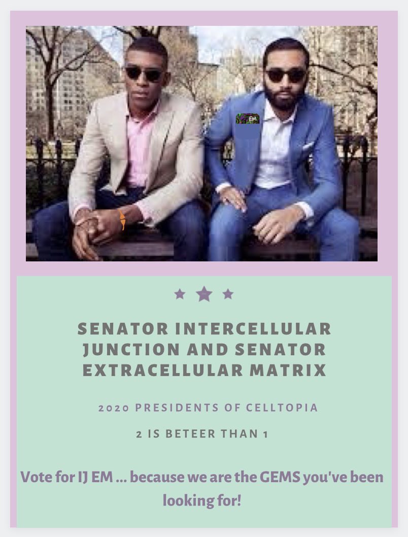 InterJExtraM's tweet photo. Vote for Senator InterJ and Senator ExtraM! 

@scianna_science #organellewars #IJEMbcWeAreTheGems https://t.co/moundMUROo
