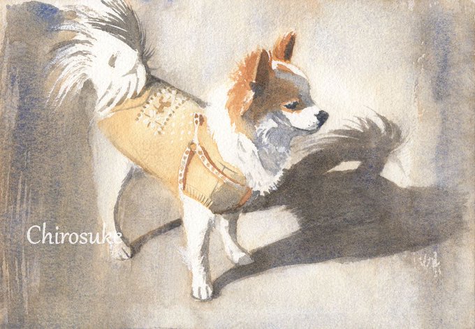 「dog traditional media」 illustration images(Oldest)｜7pages