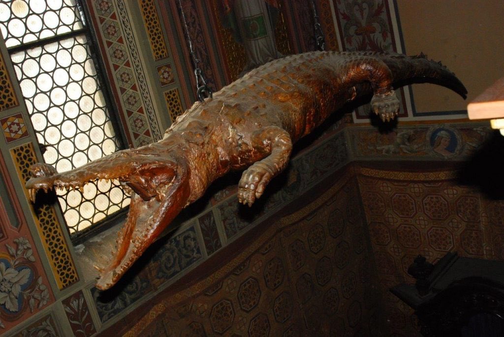 I just learned about the oldest taxidermy is a church crocodile in Nossa's Santuario Madonna delle Lacrime Immacolate.