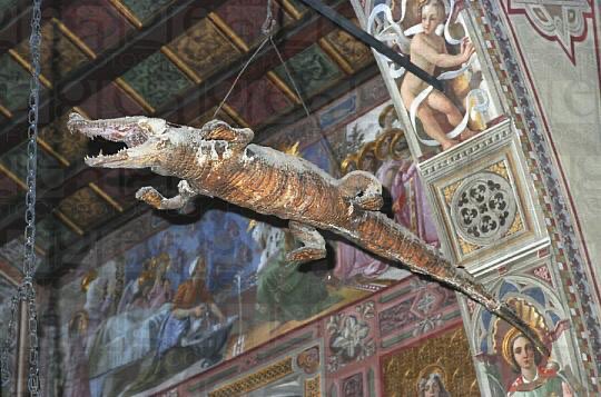 I just learned about the oldest taxidermy is a church crocodile in Nossa's Santuario Madonna delle Lacrime Immacolate.