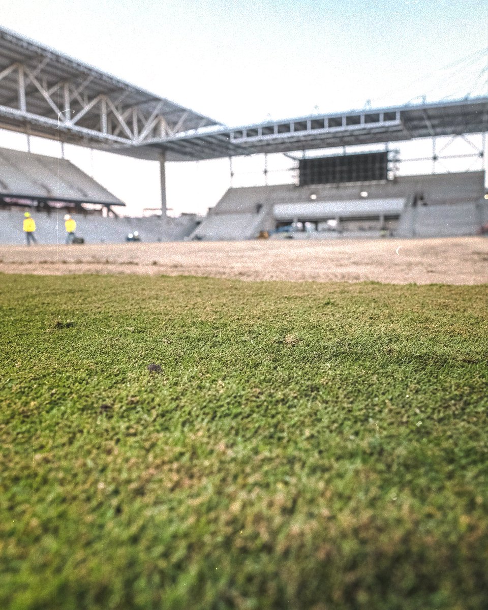 AustinFC's tweet photo. Pitch installation begins tonight. #GrowTheLegend https://t.co/zRJkyjsJPx