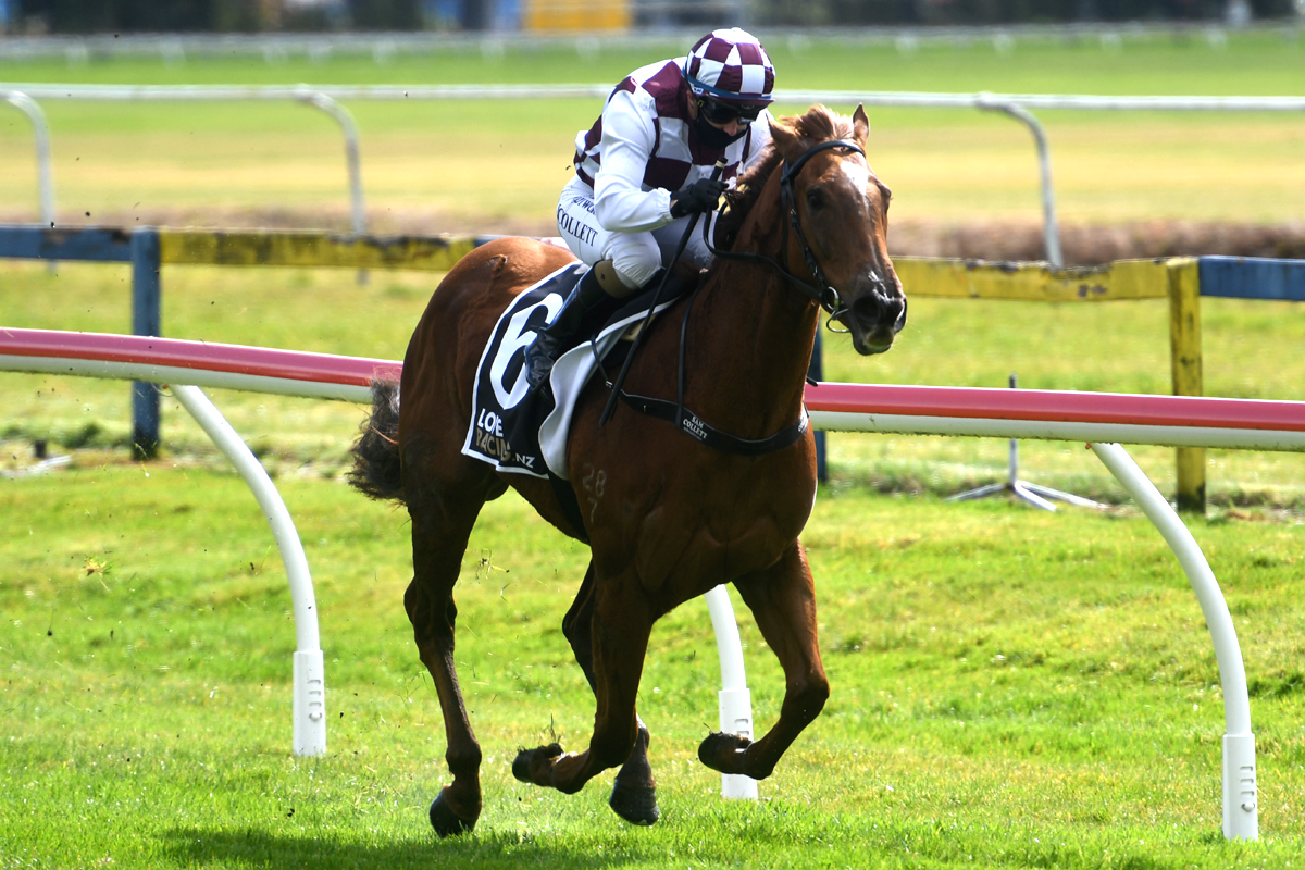 NZ Racing News (@nzracingnews) on Twitter photo Ben Foote's NZ 1000 Guineas hopes will put their credentials on the line this weekend with #BabylonBerlin racing in the Gr.3 Waikato Stud Soliloquy Stakes <a href="/TeRapaRacing/">Waikato Thoroughbred Racing</a> and #VitesseBo in the Gr.3 War Decree Stakes at Riccarton
racingnews.co.nz/fillies-out-to… Ben Foote's NZ 1000 Guineas hopes will put their credentials on the line this weekend with #BabylonBerlin racing in the Gr.3 Waikato Stud Soliloquy Stakes <a href="/TeRapaRacing/">Waikato Thoroughbred Racing</a> and #VitesseBo in the Gr.3 War Decree Stakes at Riccarton
racingnews.co.nz/fillies-out-to…