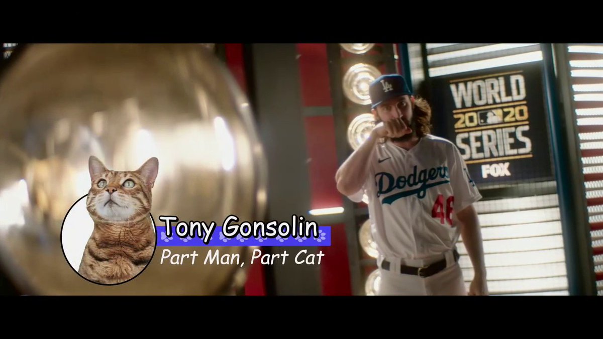 FOX Sports: MLB on X: Introducing Tony Gonsolin (@goooose15