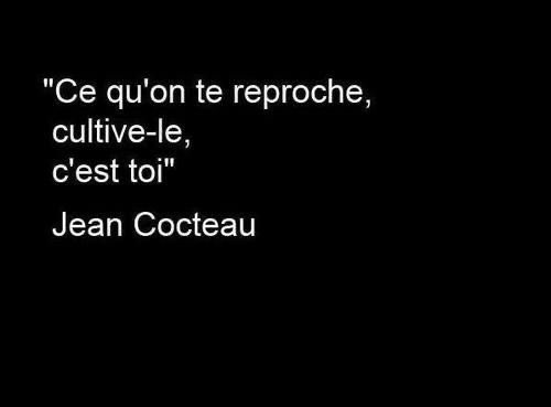Durant cette période difficile en France,ma pensée fut pour mon prof  qui m’a demandé qui j’étais et ma réponse était “ne en France mais de mère Érythréenne et de père allemand” . 
Donc un grand merci à lui pour partager cette phrase de Jean Cocteau
#soutienauxprofs #SamuelPaty