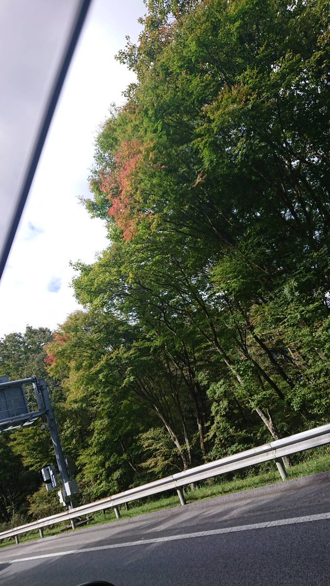 和がや 板前料理と土鍋ごはん 昨日の日光 東照宮あたり まだ紅葉早かったー でも平日なのに渋滞 観光客いっぱいの栃木を見てホッとした感 なぜ 笑 本日もおすすめたくさん仕込みました ご来店お待ちしてます 和がや Goto 和がや 板前料理と土鍋ごはん 昨日の日光 東照宮あたり まだ紅葉早かったー でも平日なのに渋滞 観光客いっぱいの栃木を見てホッとした感 なぜ 笑 本日もおすすめたくさん仕込みました ご来店お待ちしてます 和がや Goto