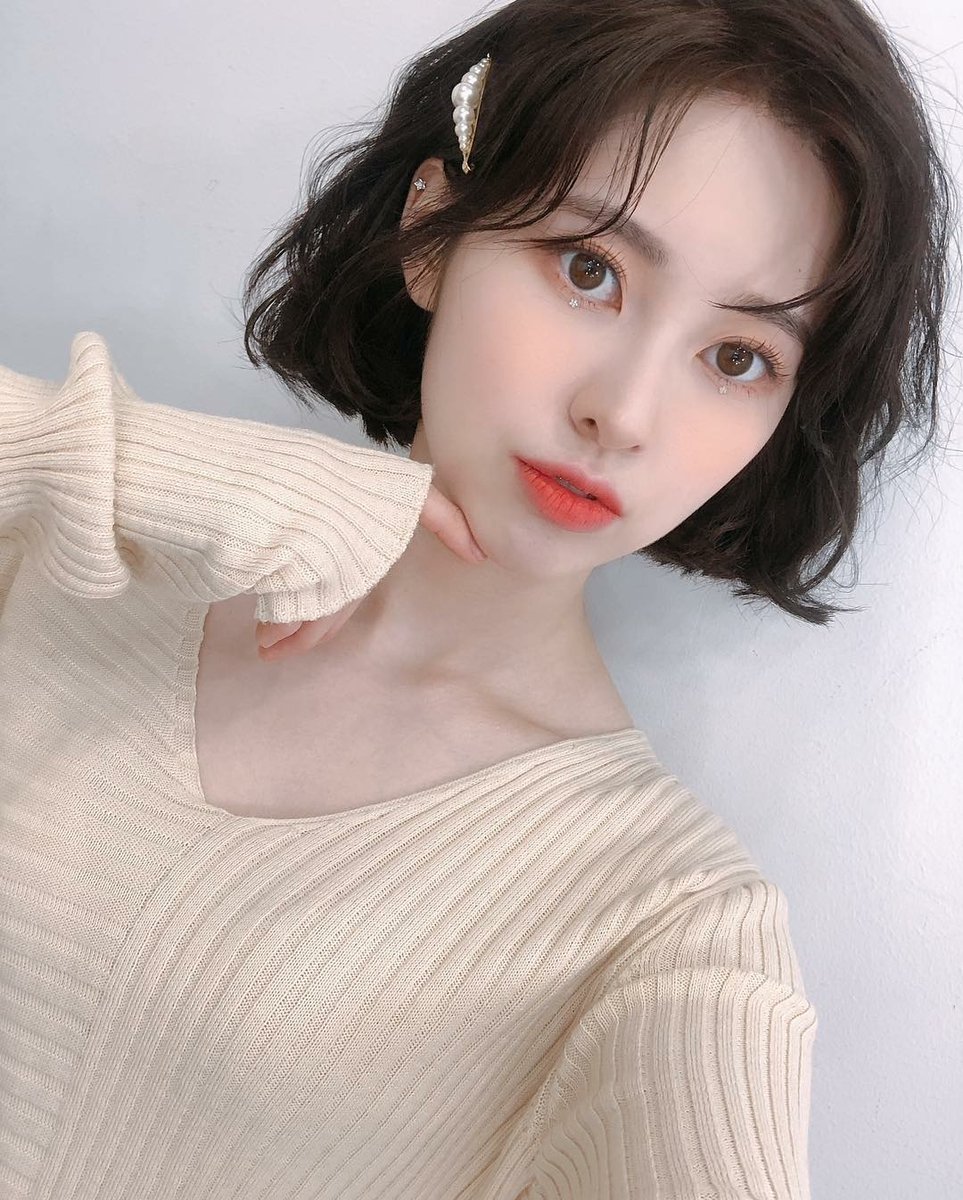 배 venus · tweet media