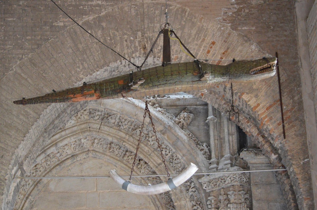 There’s also apparently a wooden carved ceiling alligator in the cathedral of Sevilla This one apparently scares away evil spirits with it’s scary face