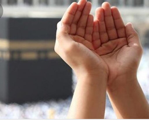 فهد الاسلمي tweet media